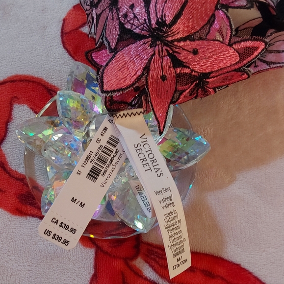 🪷 VS Very Sexy Ziggy Glam Floral Embroidery Thong Panty 🪷 - Picture 11 of 16